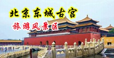 性感少妇小穴在线播放中国北京-东城古宫旅游风景区