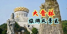 浪女黄片中国浙江-绍兴大香林旅游风景区
